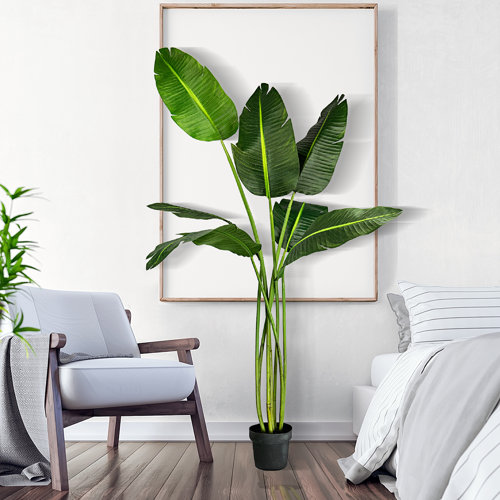 Birch Lane™ 78'' Faux Banana Leaf Tree in Pot & Reviews Wayfair